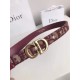 Dior Saddle 20MM Belt In Bordeaux Dior Oblique Jacquard