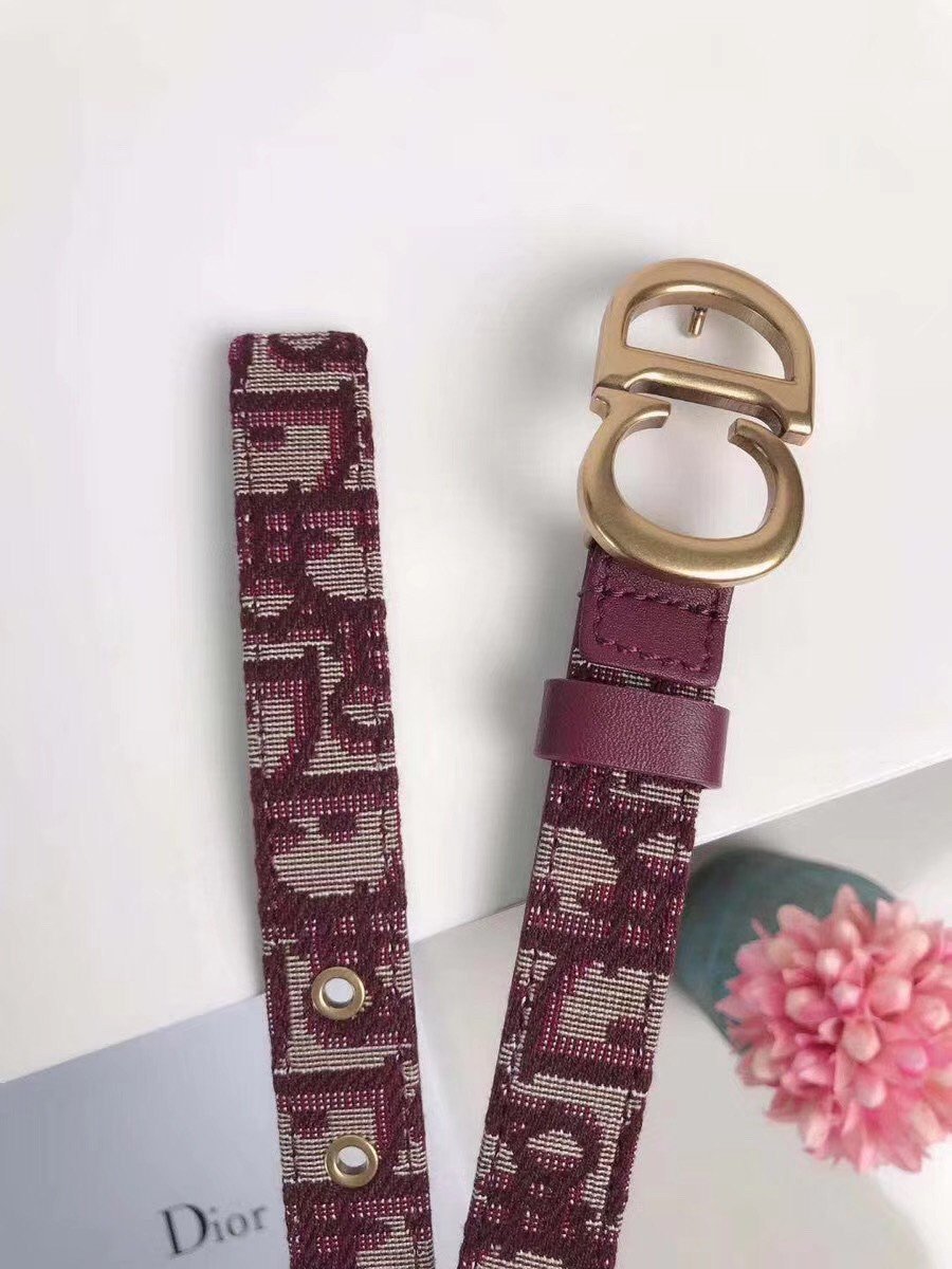 Dior Saddle 20MM Belt In Bordeaux Dior Oblique Jacquard