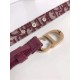 Dior Saddle 20MM Belt In Bordeaux Dior Oblique Jacquard