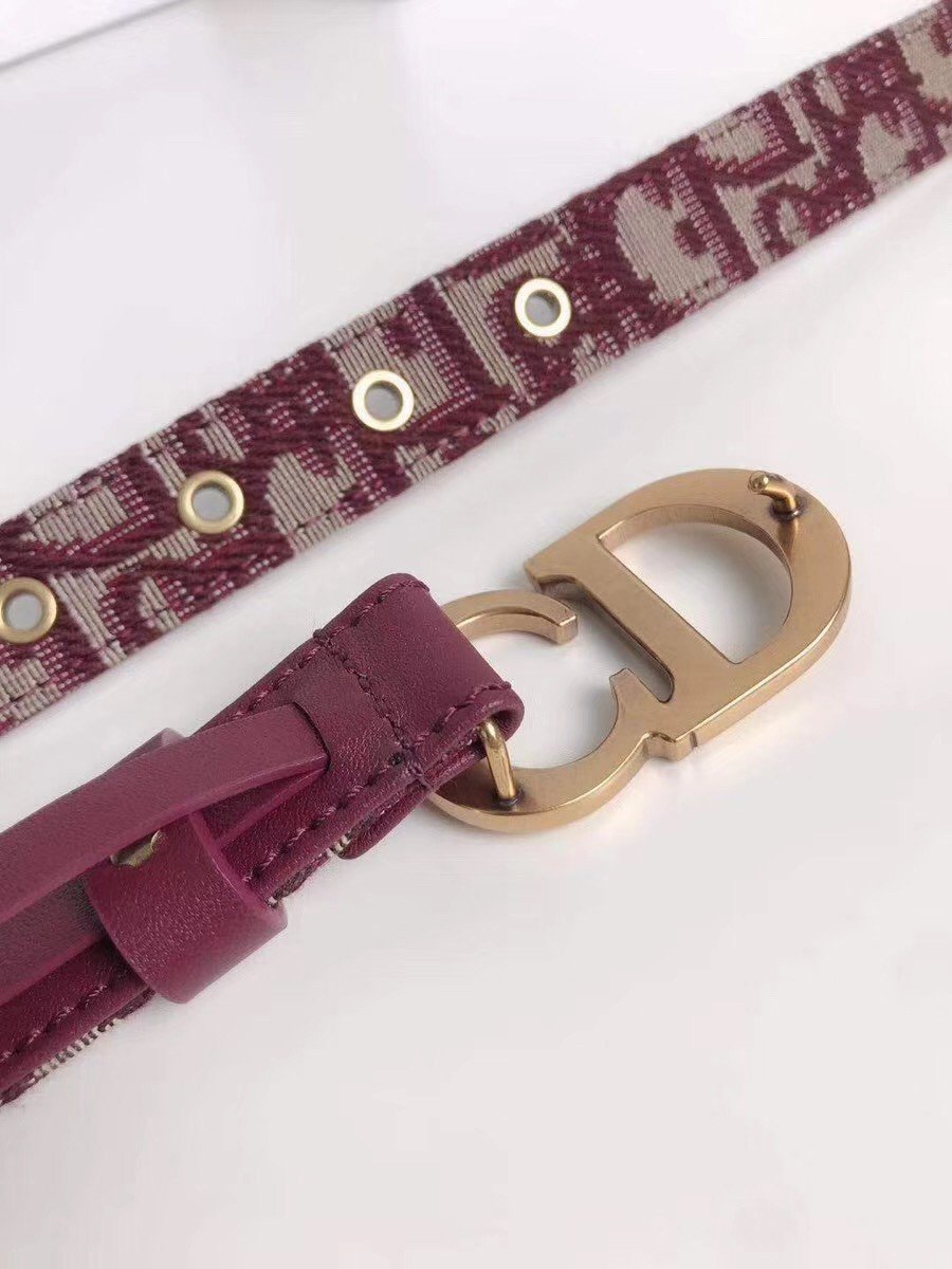 Dior Saddle 20MM Belt In Bordeaux Dior Oblique Jacquard