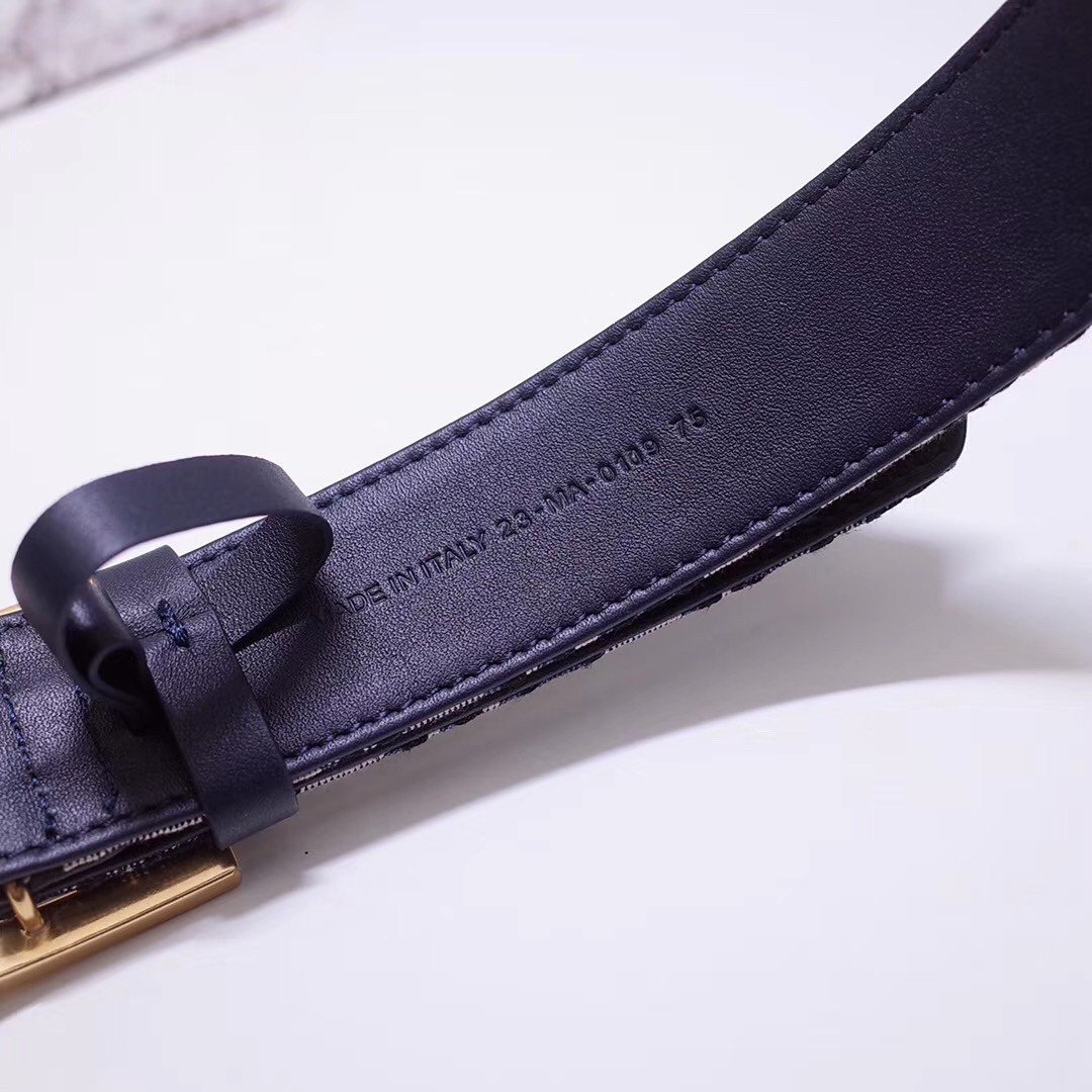 Dior Diorquake 35MM Belt In Blue Oblique Canvas