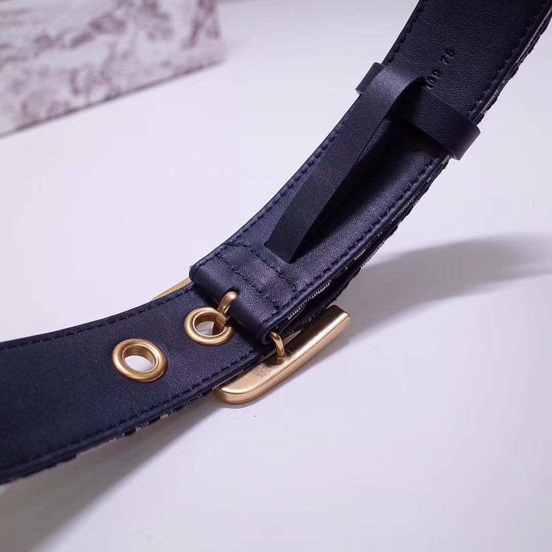 Dior Diorquake 35MM Belt In Blue Oblique Canvas