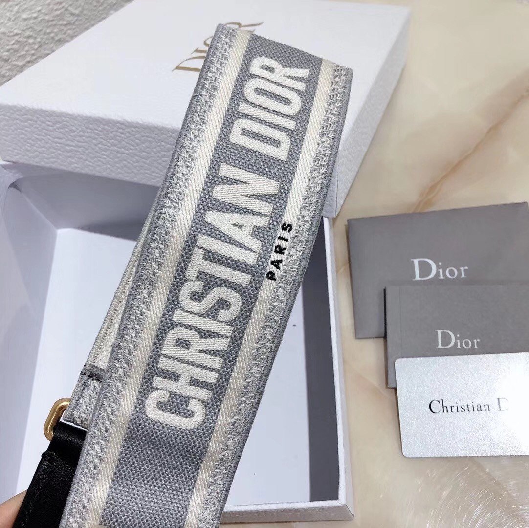 Dior Shoulder Strap in Grey Embroidery Canvas