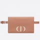 Dior 30 Montaigne 2 In 1 Belt Bag In Poudre Calfskin