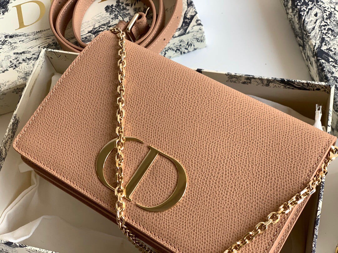 Dior 30 Montaigne 2 In 1 Belt Bag In Poudre Calfskin