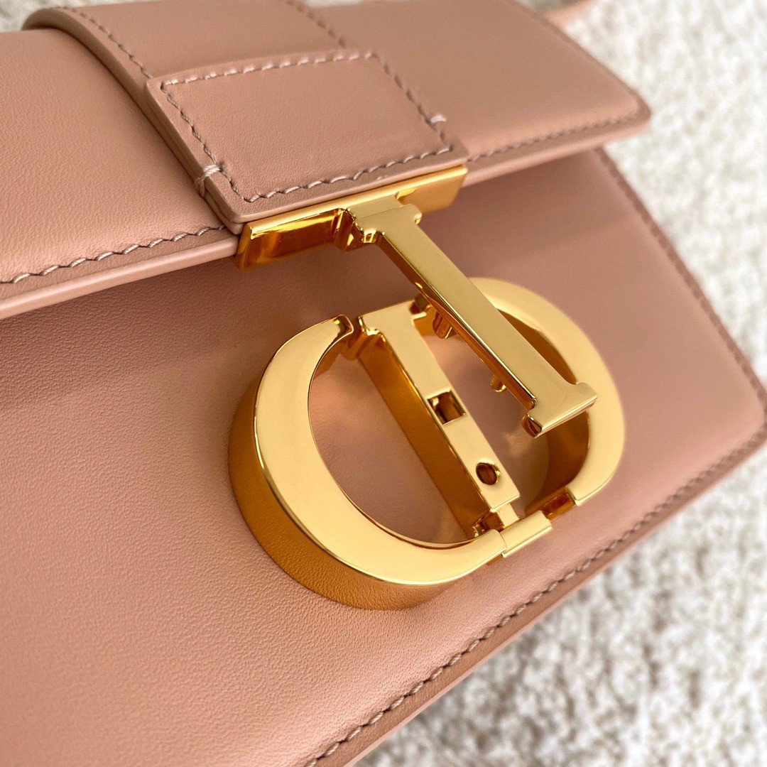 Dior 30 Montaigne Micro Bag In Poudre Box Calfskin