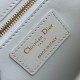 Dior 30 Montaigne Medium Bag In White Box Calfskin