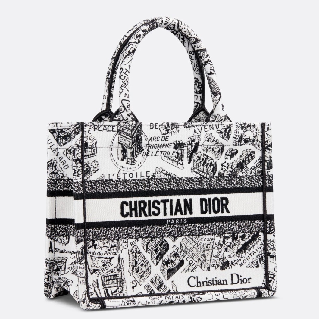 Dior Small Book Tote Bag In White Plan de Paris Embroidery