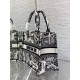 Dior Small Book Tote Bag In White Plan de Paris Embroidery