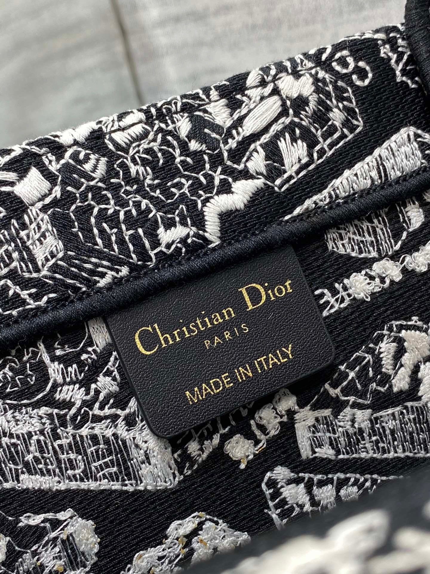 Dior Medium Book Tote Bag In Black Plan de Paris Embroidery