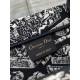 Dior Medium Book Tote Bag In Black Plan de Paris Embroidery