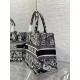 Dior Medium Book Tote Bag In Black Plan de Paris Embroidery