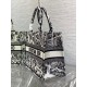 Dior Medium Book Tote Bag In White Plan de Paris Embroidery