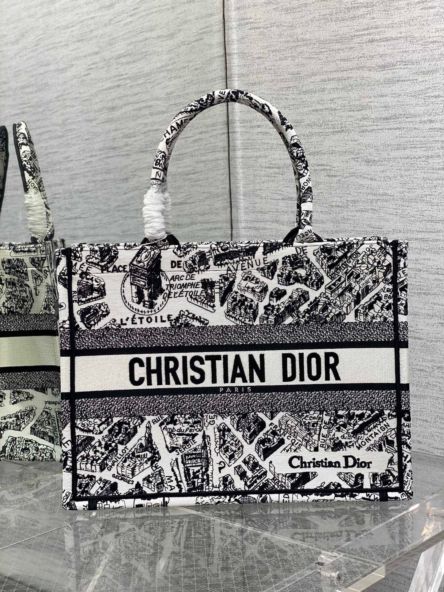 Dior Medium Book Tote Bag In White Plan de Paris Embroidery