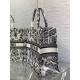 Dior Large Book Tote Bag In White Plan de Paris Embroidery