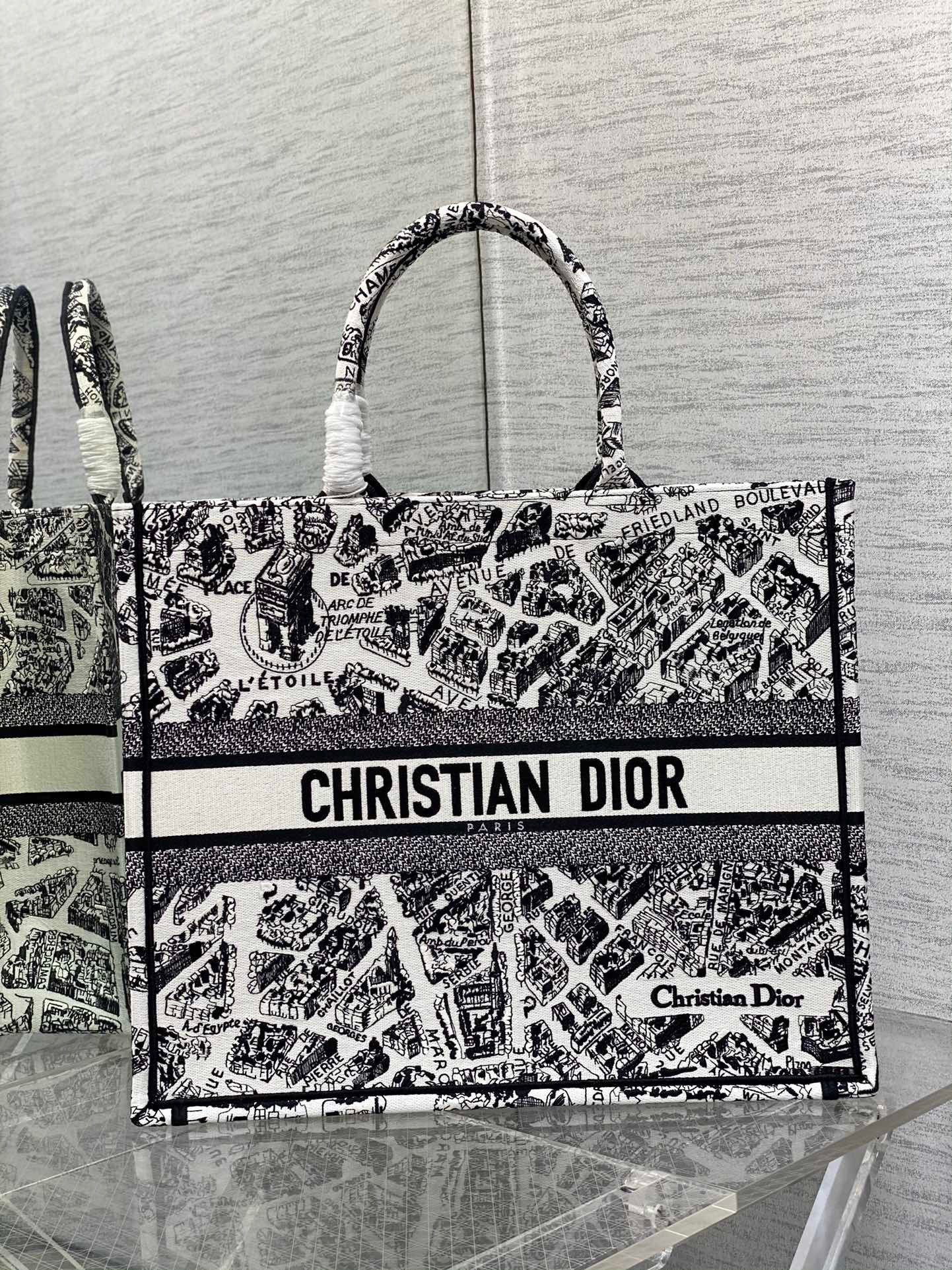 Dior Large Book Tote Bag In White Plan de Paris Embroidery