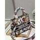 Dior Lady D-Lite Medium Bag In White Dior Petites Fleurs Embroidery