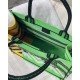 Dior Medium Book Tote Bag In Green D-Jungle Pop Embroidery