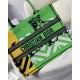 Dior Medium Book Tote Bag In Green D-Jungle Pop Embroidery