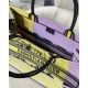 Dior Large Book Tote Bag In Yellow D-Jungle Pop Embroidery