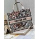 Dior Large Book Tote Bag In Multicolor La Force Embroidery