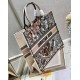 Dior Large Book Tote Bag In Multicolor La Force Embroidery