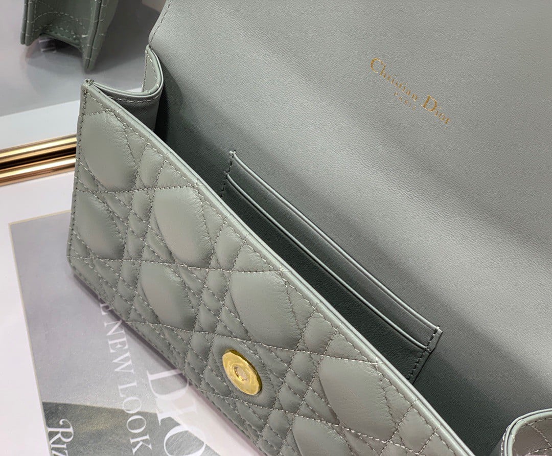 Dior Caro Belt Pouch with Chain In Grey Calfskin