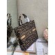 Dior Large Book Tote Bag In Beige Multicolor Mizza Embroidery