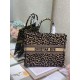 Dior Large Book Tote Bag In Beige Multicolor Mizza Embroidery