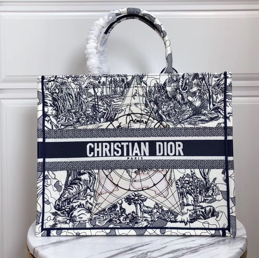 Dior Large Book Tote Bag In Around The World Embroidered Canvas