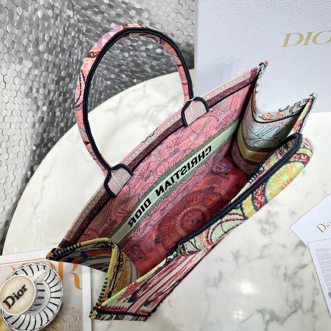 Dior Large Book Tote Bag In Multicolor Lights Embroidery