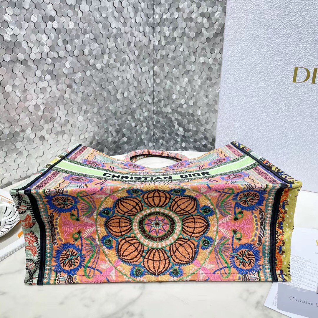 Dior Large Book Tote Bag In Multicolor Lights Embroidery