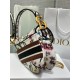 Dior Saddle Bag In White Multicolor Dior Petites Fleurs Embroidery