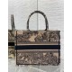 Dior Medium Book Tote Bag In Beige Toile de Jouy Voyage Embroidery