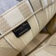 Dior Large Book Tote Bag In Beige Stripes Embroidery