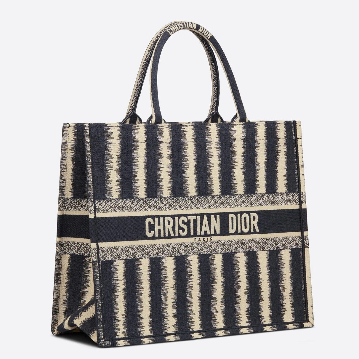 Dior Large Book Tote Bag In Blue Stripes Embroidery