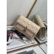 Dior Lady Dior Chain Pouch In Beige Cannage Lambskin