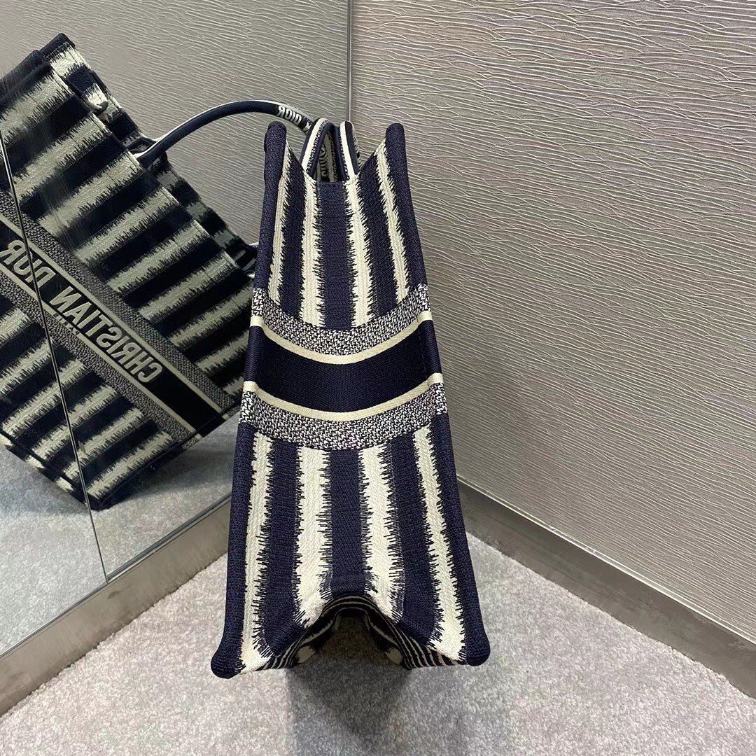 Dior Large Book Tote Bag In Blue Stripes Embroidery