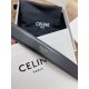 Celine Medium Triomphe Belt 25MM in Black Calfskin