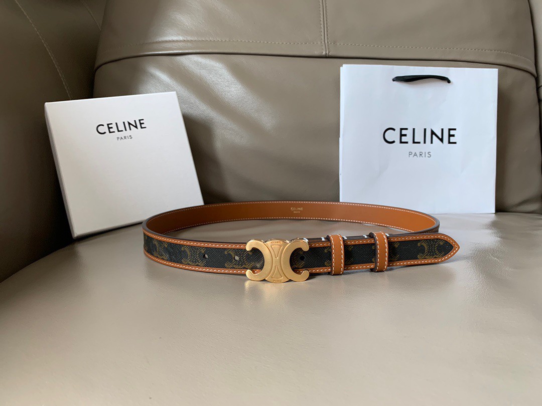 Celine Medium Triomphe Belt 25MM in Tan Triomphe Canvas