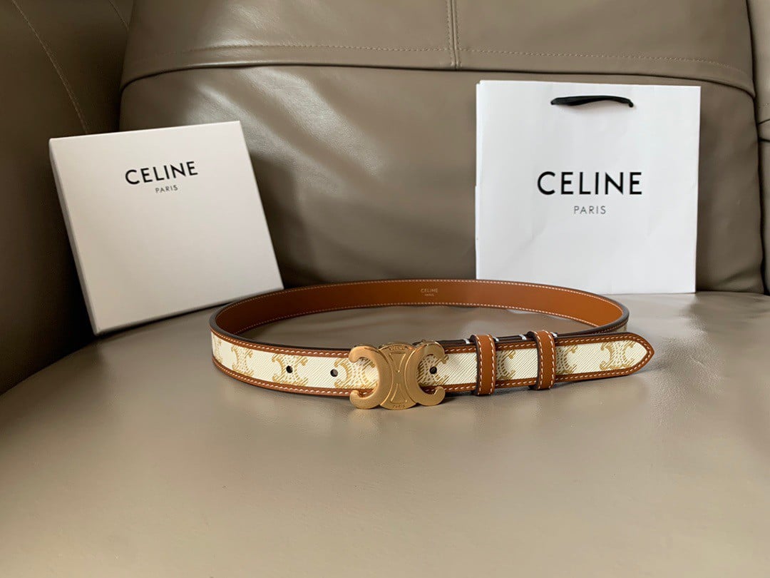 Celine Medium Triomphe Belt 25MM in White Triomphe Canvas