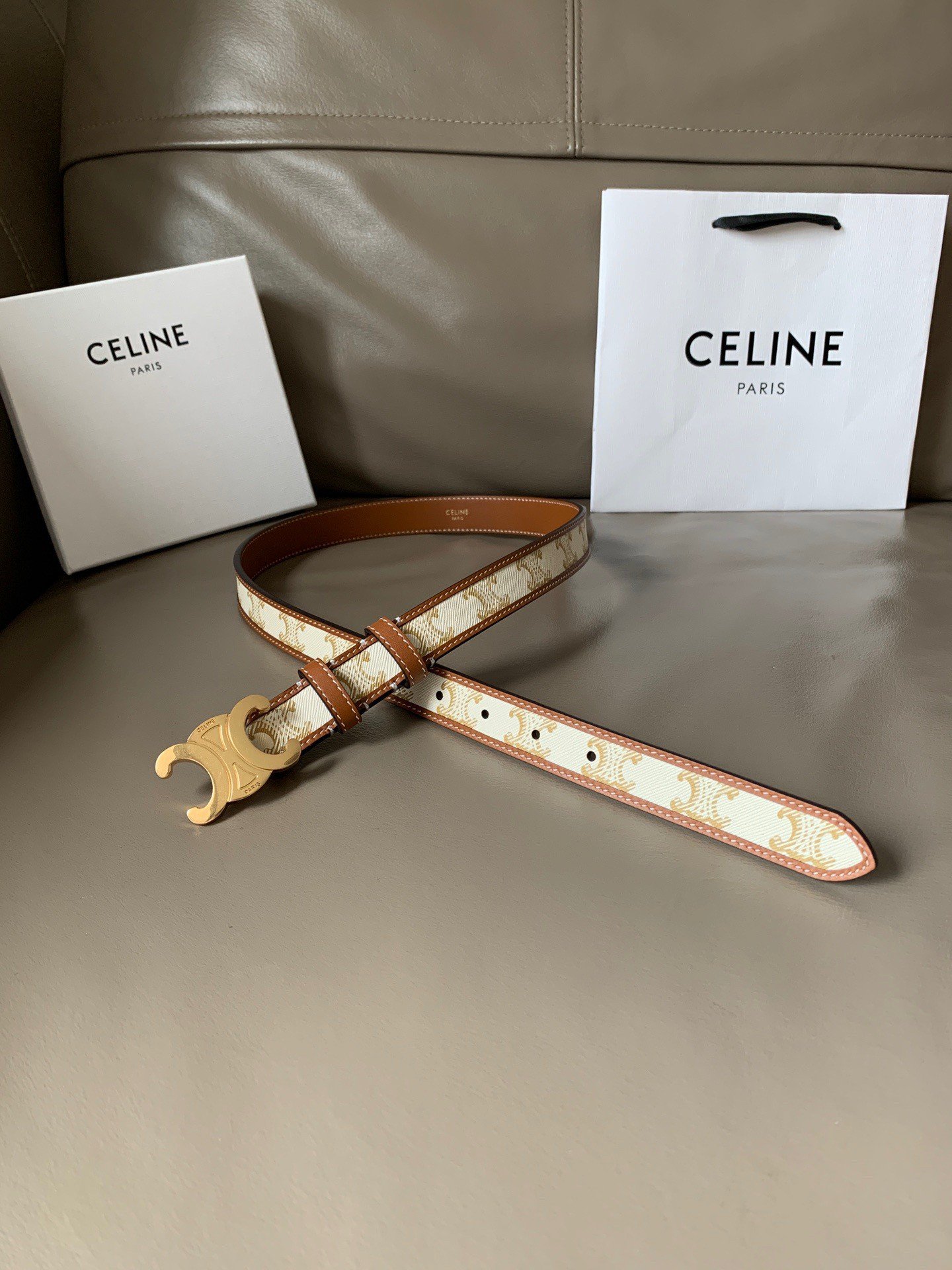 Celine Medium Triomphe Belt 25MM in White Triomphe Canvas