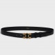 Celine Medium Triomphe Frame Belt 25MM in Black Calfskin