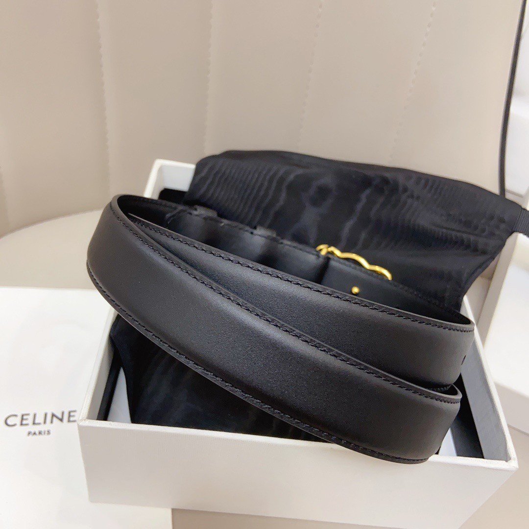 Celine Medium Triomphe Frame Belt 25MM in Black Calfskin