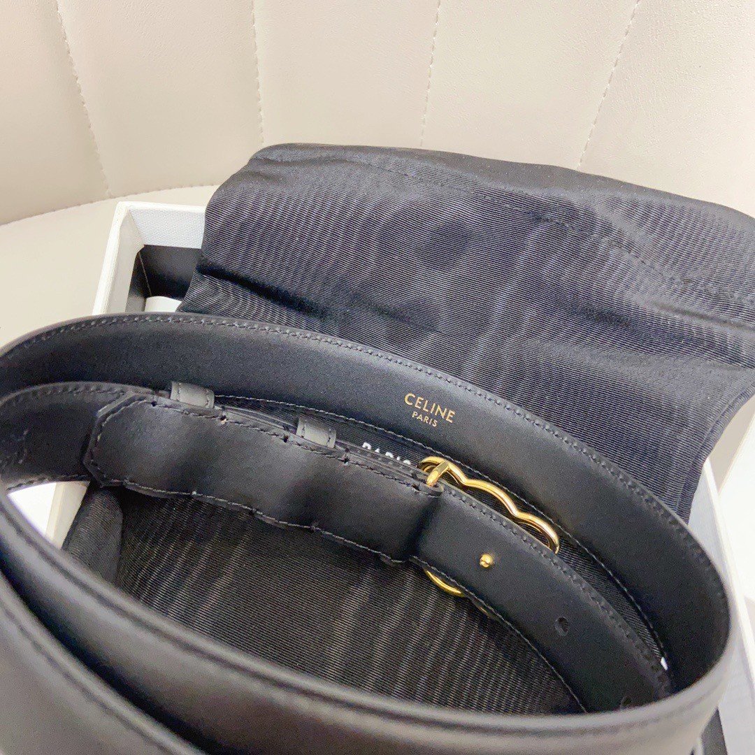 Celine Medium Triomphe Frame Belt 25MM in Black Calfskin