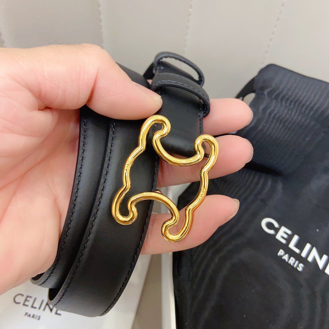 Celine Medium Triomphe Frame Belt 25MM in Black Calfskin