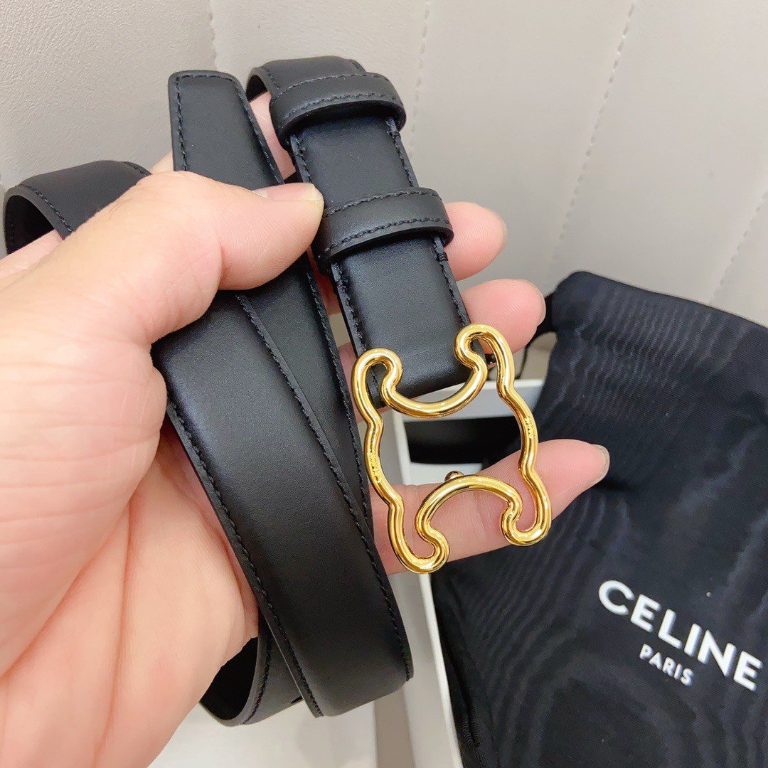 Celine Medium Triomphe Frame Belt 25MM in Black Calfskin