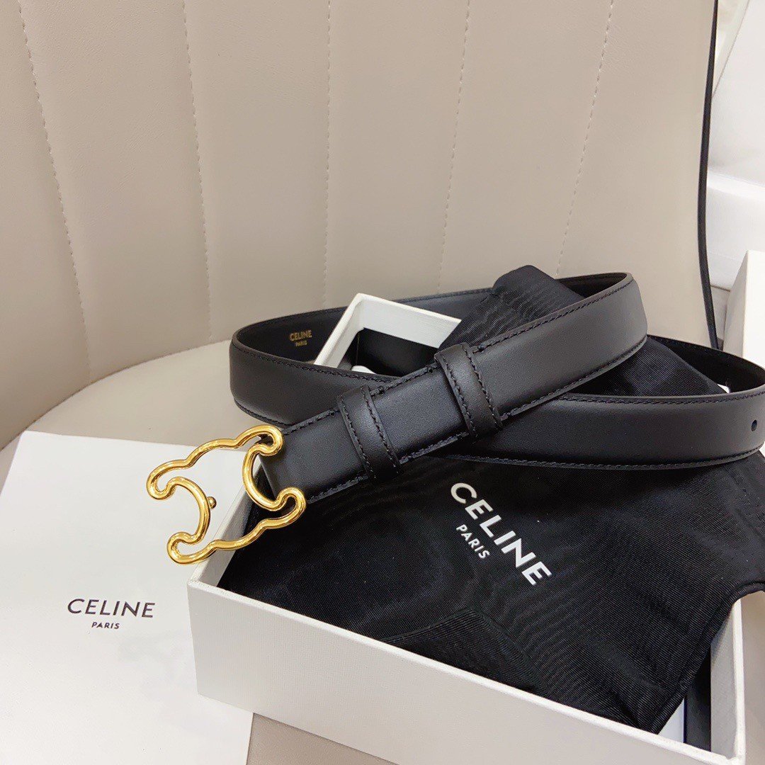 Celine Medium Triomphe Frame Belt 25MM in Black Calfskin