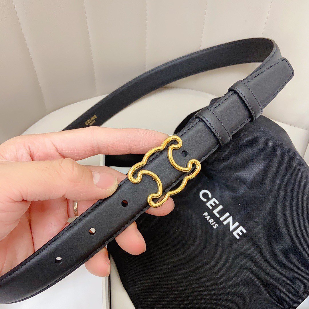 Celine Medium Triomphe Frame Belt 25MM in Black Calfskin