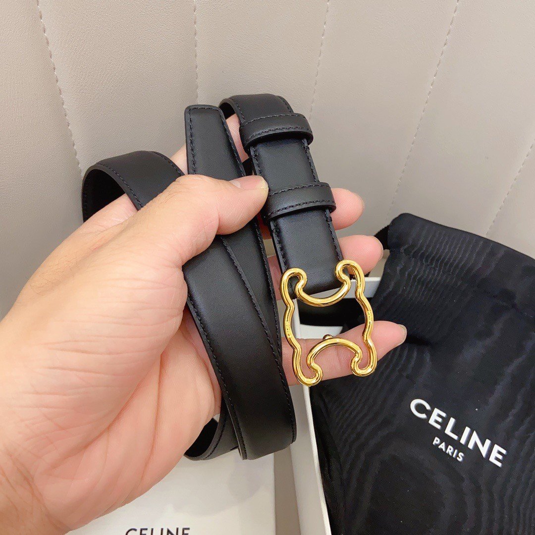 Celine Medium Triomphe Frame Belt 25MM in Black Calfskin